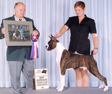 Sire: Am/Can Ch Storybook's Crazy For Tickitbou (Nick)