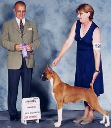 Dam: Ch Chieftain Shadowdale QuietRiot (Riot)