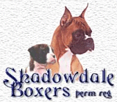 Shadowdale Boxers Perm. Reg.