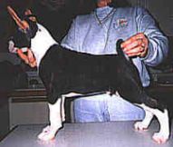 cutterp.JPG - 6404 Bytes